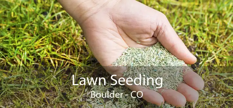 Lawn Seeding Boulder - CO