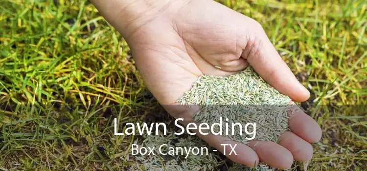 Lawn Seeding Box Canyon - TX