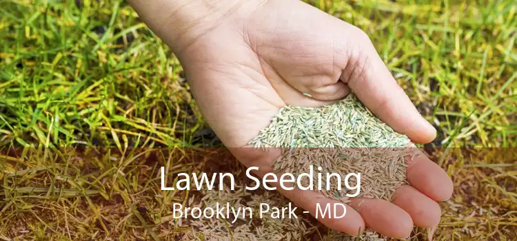  Lawn Seeding Brooklyn Park - MD