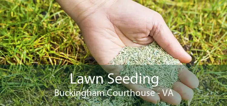 Lawn Seeding Buckingham Courthouse - VA
