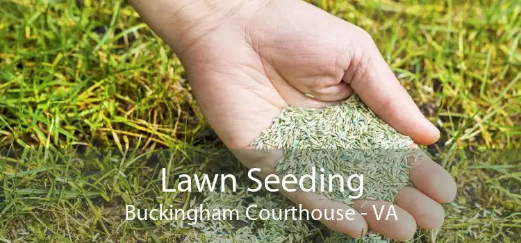 Lawn Seeding Buckingham Courthouse - VA
