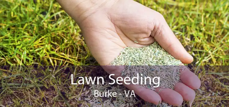 Lawn Seeding Burke - VA