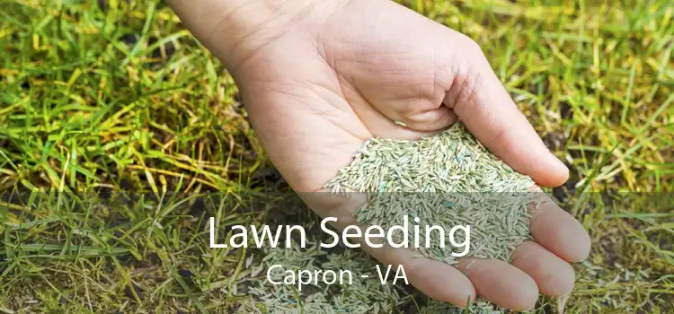 Lawn Seeding Capron - VA