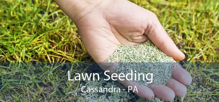 Lawn Seeding Cassandra - PA