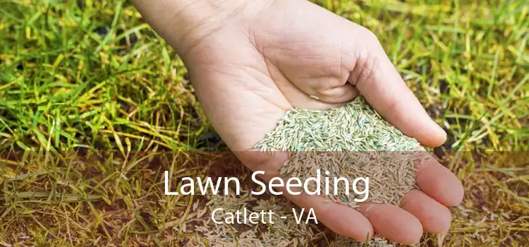 Lawn Seeding Catlett - VA