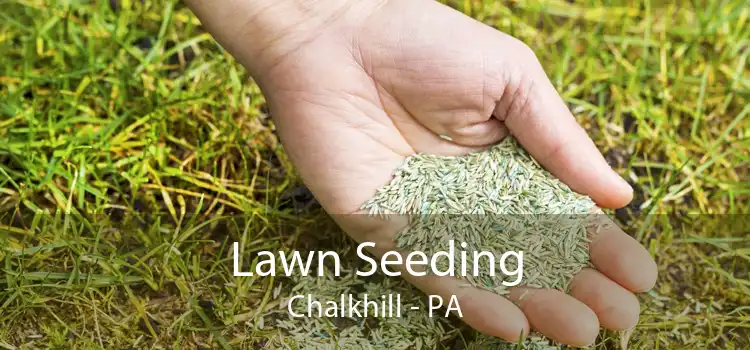 Lawn Seeding Chalkhill - PA