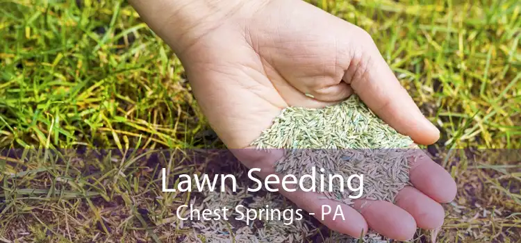 Lawn Seeding Chest Springs - PA