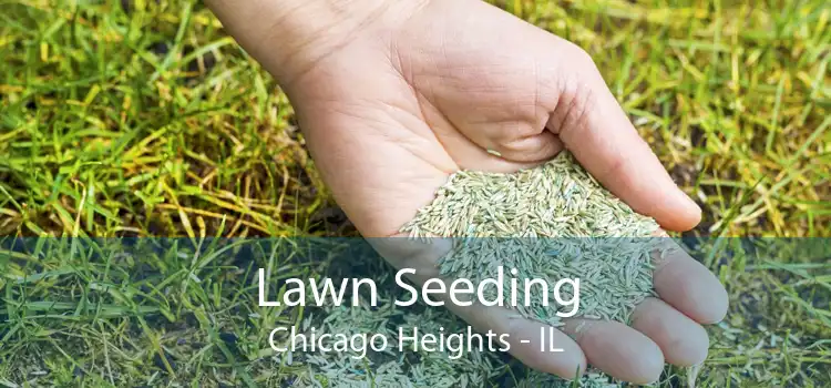 Lawn Seeding Chicago Heights - IL