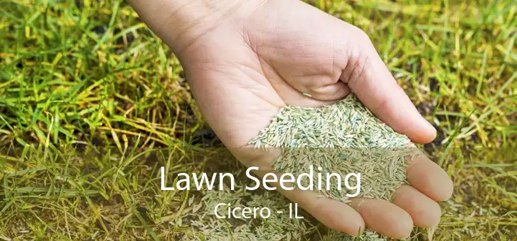 Lawn Seeding Cicero - IL