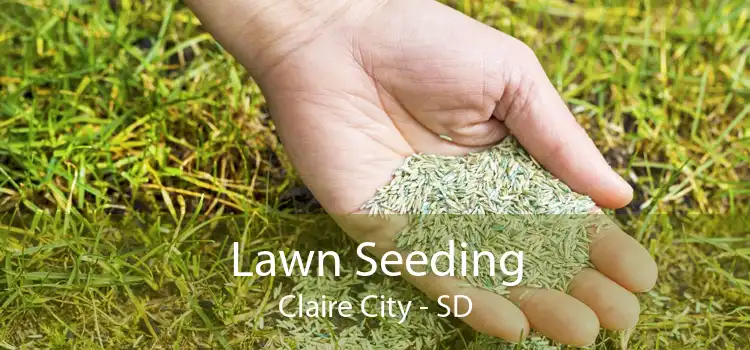 Lawn Seeding Claire City - SD