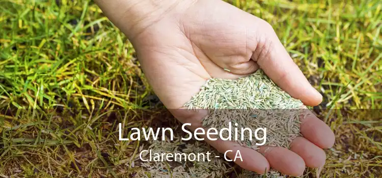 Lawn Seeding Claremont - CA