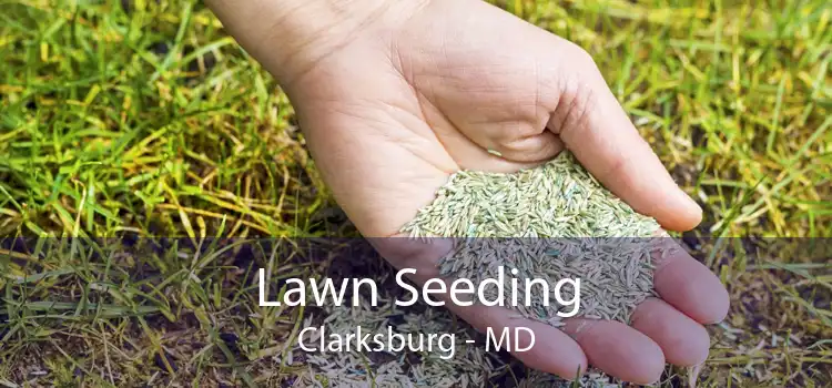  Lawn Seeding Clarksburg - MD
