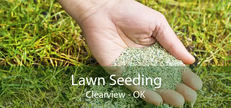 Lawn Seeding Clearview - OK