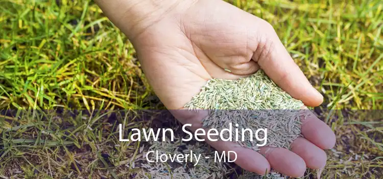Lawn Seeding Cloverly - MD