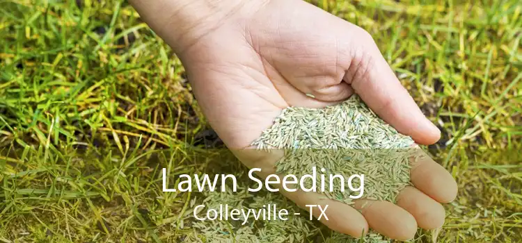 Lawn Seeding Colleyville - TX