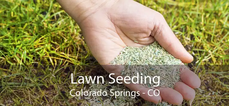 Lawn Seeding Colorado Springs - CO