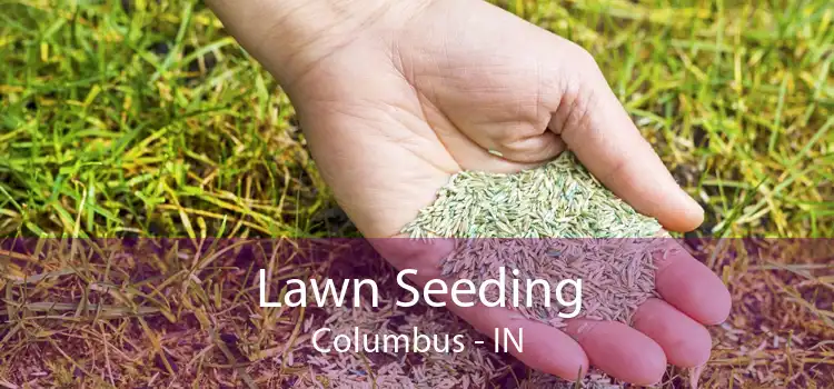 Lawn Seeding Columbus - IN