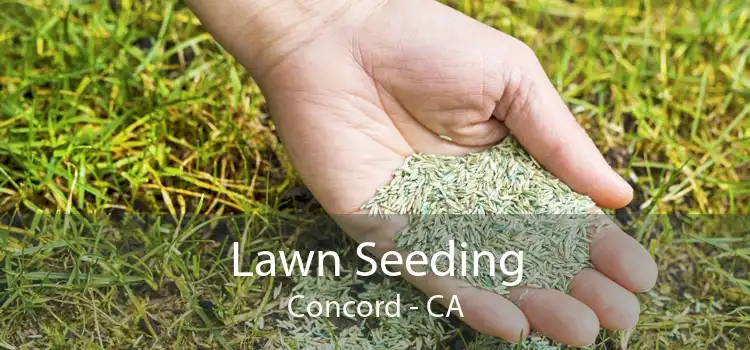Lawn Seeding Concord - CA