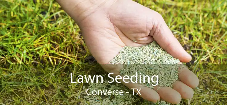 Lawn Seeding Converse - TX