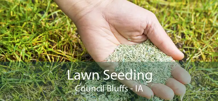 Lawn Seeding Council Bluffs - IA