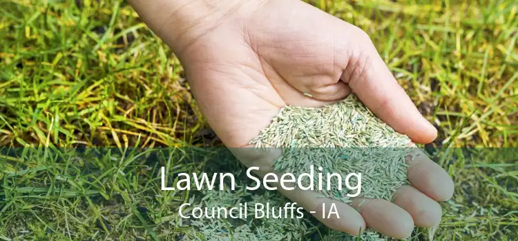 Lawn Seeding Council Bluffs - IA