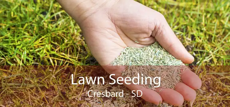 Lawn Seeding Cresbard - SD