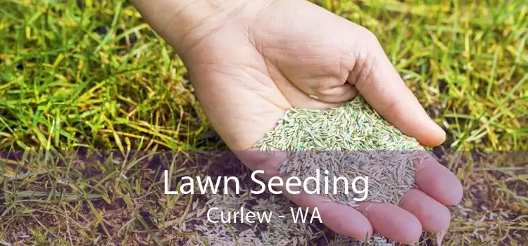 Lawn Seeding Curlew - WA