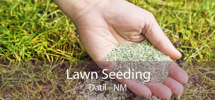 Lawn Seeding Datil - NM