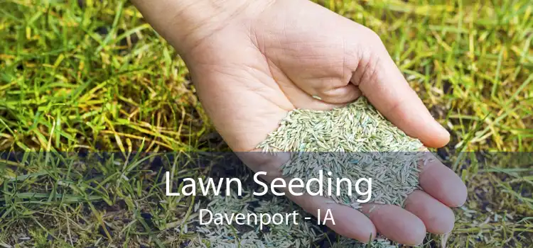 Lawn Seeding Davenport - IA
