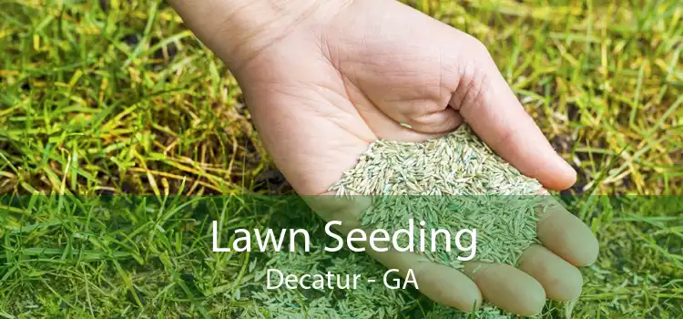 Lawn Seeding Decatur - GA