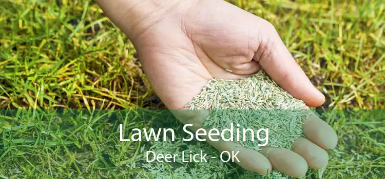 Lawn Seeding Deer Lick - OK