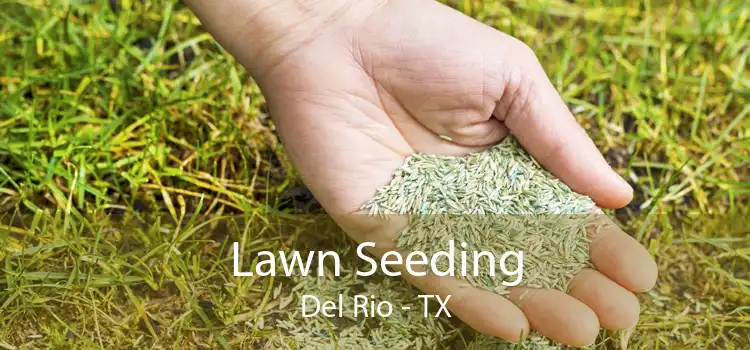 Lawn Seeding Del Rio - TX