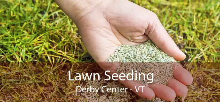 Lawn Seeding Derby Center - VT