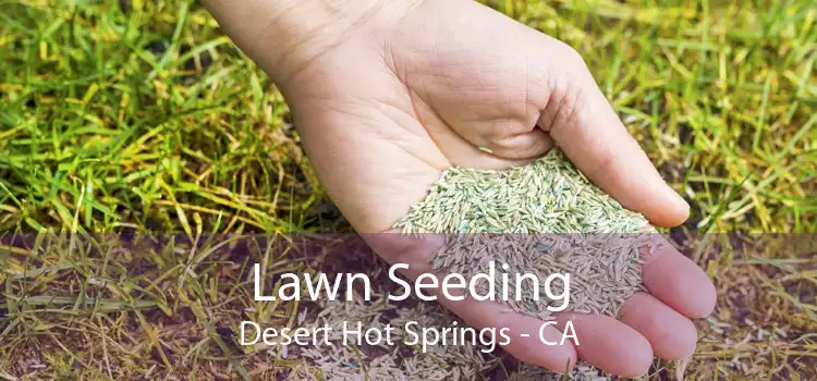Lawn Seeding Desert Hot Springs - CA