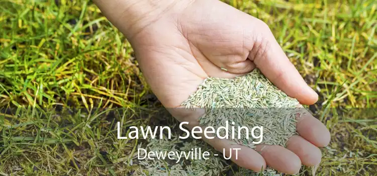 Lawn Seeding Deweyville - UT