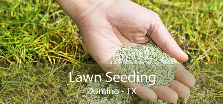 Lawn Seeding Domino - TX