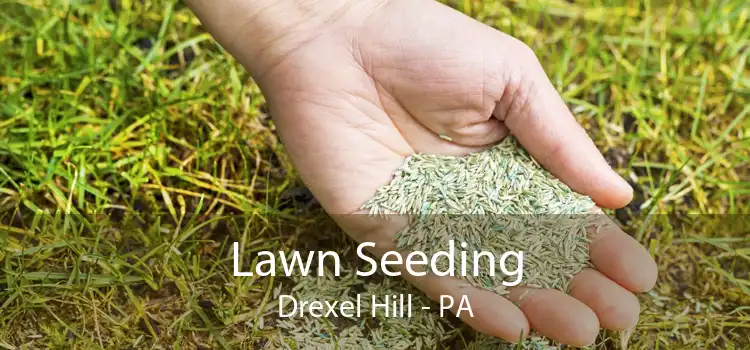 Lawn Seeding Drexel Hill - PA