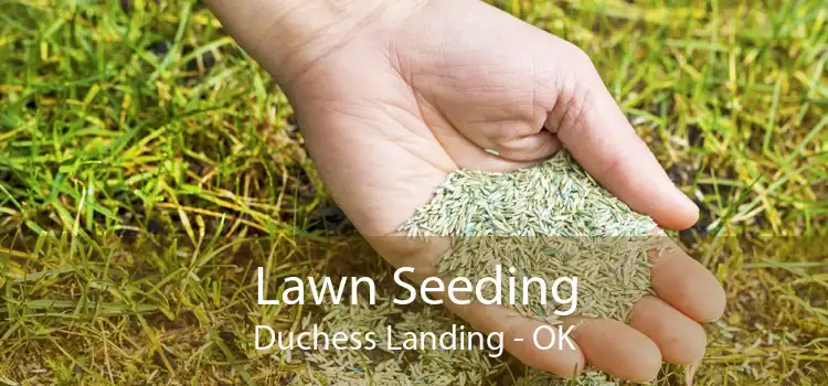 Lawn Seeding Duchess Landing - OK