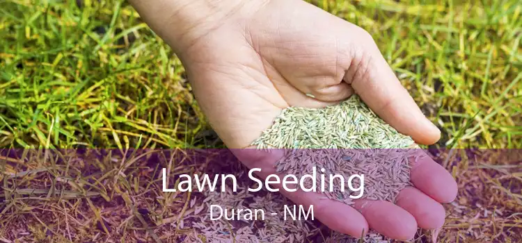 Lawn Seeding Duran - NM