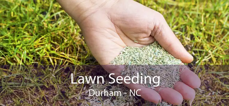 Lawn Seeding Durham - NC