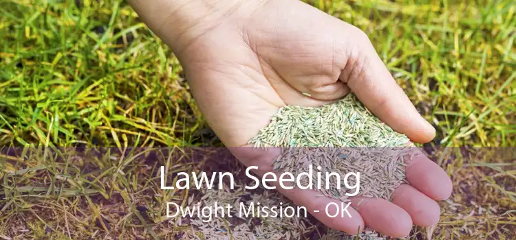 Lawn Seeding Dwight Mission - OK
