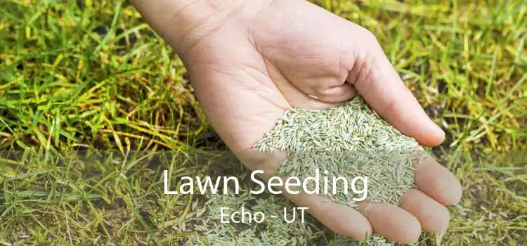 Lawn Seeding Echo - UT