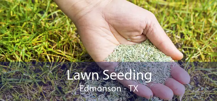  Lawn Seeding Edmonson - TX