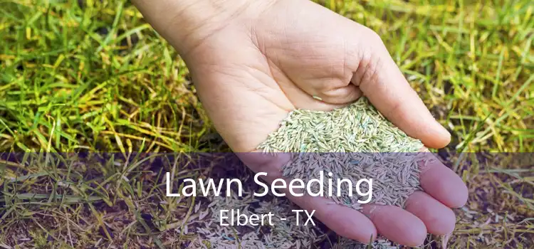 Lawn Seeding Elbert - TX