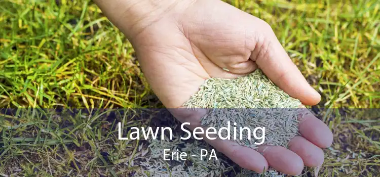  Lawn Seeding Erie - PA