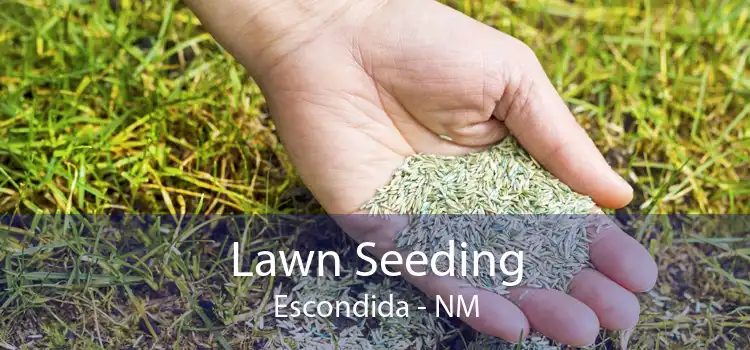 Lawn Seeding Escondida - NM