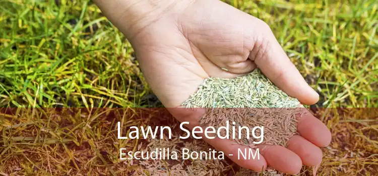 Lawn Seeding Escudilla Bonita - NM
