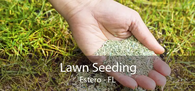 Lawn Seeding Estero - FL