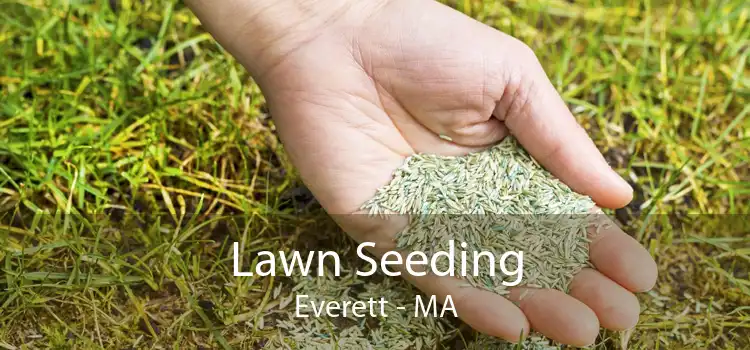 Lawn Seeding Everett - MA