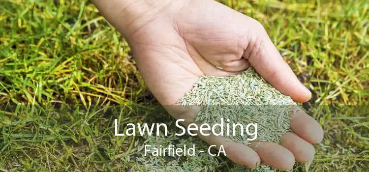 Lawn Seeding Fairfield - CA